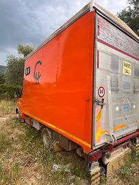 Trasporto cavalli