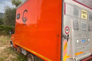 Trasporto cavalli