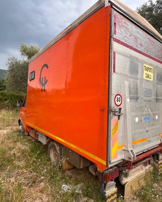 Trasporto cavalli