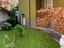 Immagine 17
