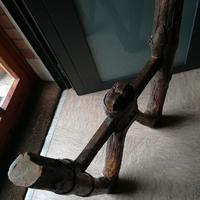 accessorio per carro antico