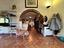 Immagine 11