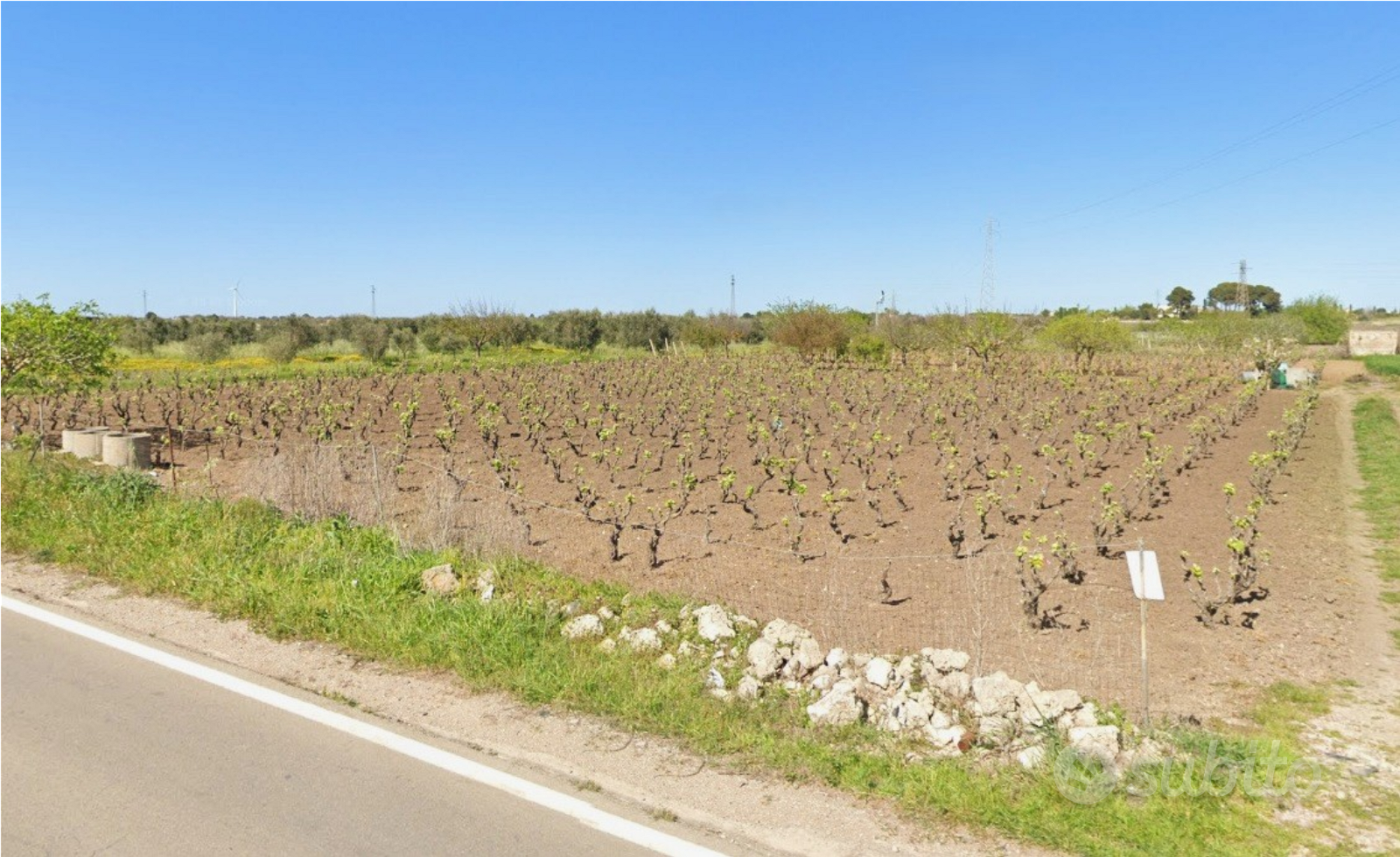 Vendita vigneto e frutteto - Vista 3