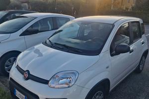 nuova panda 1.0 70 Cv Hybrid 