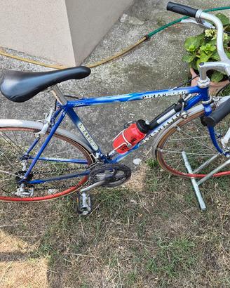 Pinarello Campagnolo Chronus 10v