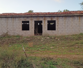 Casale con terreno