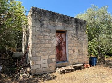 RUSTICO A OSSI