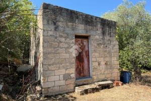 RUSTICO A OSSI
