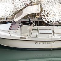 Proteo 20 Open + VM 100 hp