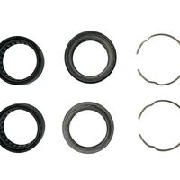 REVISIONE FORCELLA DUCATI MONSTER SS 34920211A