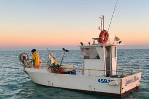 barca da pesca con licenza