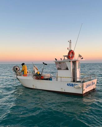 barca da pesca con licenza