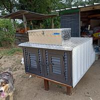 Gabbia trasporto cani