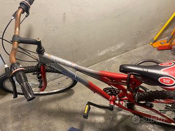 Bicicletta da ragazzo