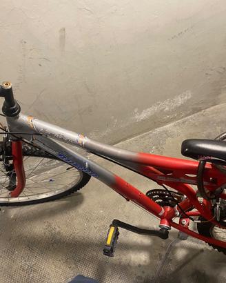 Bicicletta da ragazzo