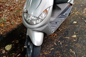 O Peugeot vivàsit. 50