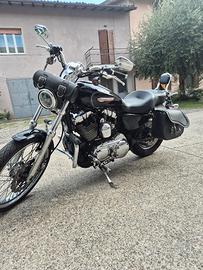 HARLEY DAVIDSON SPORTSTER XL1200C  2009