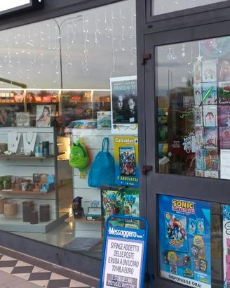 Attivita' cartoleria-edicola-articoli vari