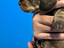 Immagine 6