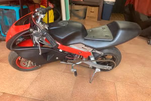 Minimoto cinese