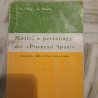 motivi e personaggi dei promessi sposi