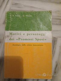 motivi e personaggi dei promessi sposi