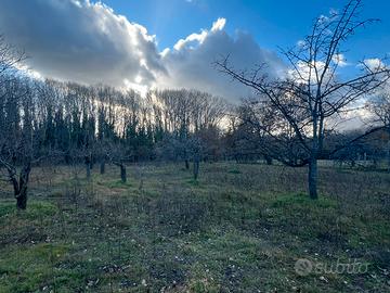 Terreno con rustico
