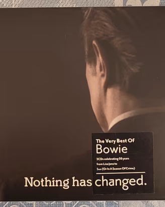 DAVID BOWIE / NOTHING HAS CHANGED 