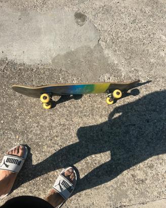 Skateboard