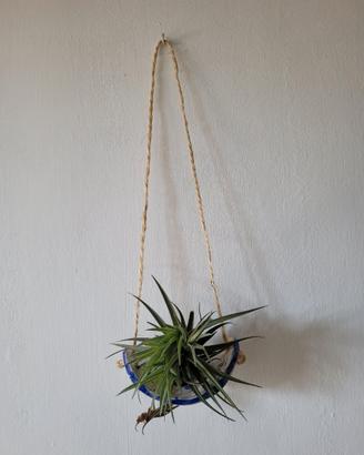 Portapianta tillandsia in ceramica nuovo