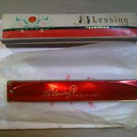 Armonica a bocca 48 note Blessing NUOVA mai usata