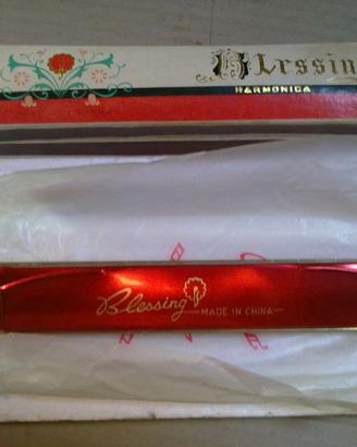 Armonica a bocca 48 note Blessing NUOVA mai usata