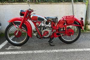 Moto Guzzi Altro modello - 1951