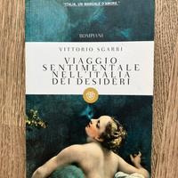 Libro arte Vittorio Sgarbi NUOVO