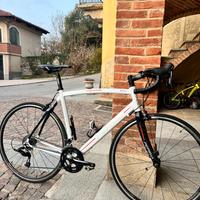 Bici da strada Pepino taglia M