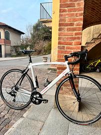 Bici da strada Pepino taglia M