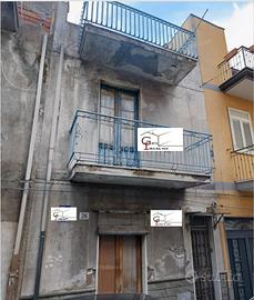 Terratetto paterno'