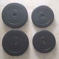 Dischi pesi plastificati Physionics