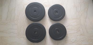 Dischi pesi plastificati Physionics