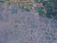 Immagine 9