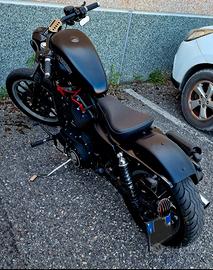HD 883 IRON 
