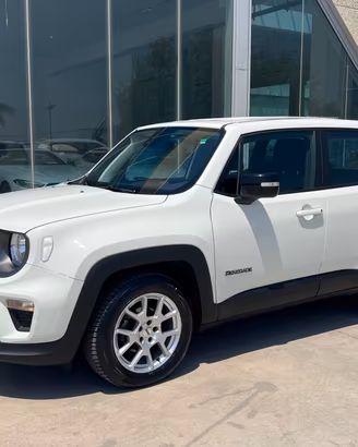 Jeep Renegade 1.6 Mjt 130 CV Limited - possibilità