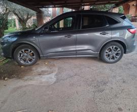 FORD Kuga 3ª serie - 2023