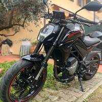 Cf moto 300nk