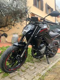 Cf moto 300nk