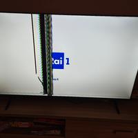 TV 55 pollici Hisense pannello rotto