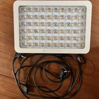 grow light niello GS 300 Lampada per Piante