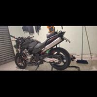 hornet 900
