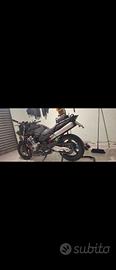 hornet 900