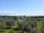Immagine 9